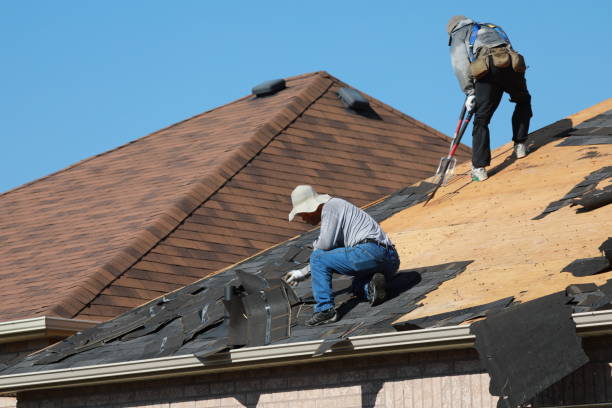 Professional  Roofing repair and installation in Pascagoula, MS